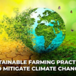 Climate-Resilient Farming Practices Gain Attention Among Farmers