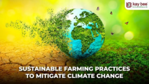 Climate-Resilient Farming Practices Gain Attention Among Farmers