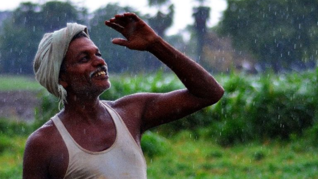 Heavy Rains Bring Relief to Farmers in Mahabubnagar Region